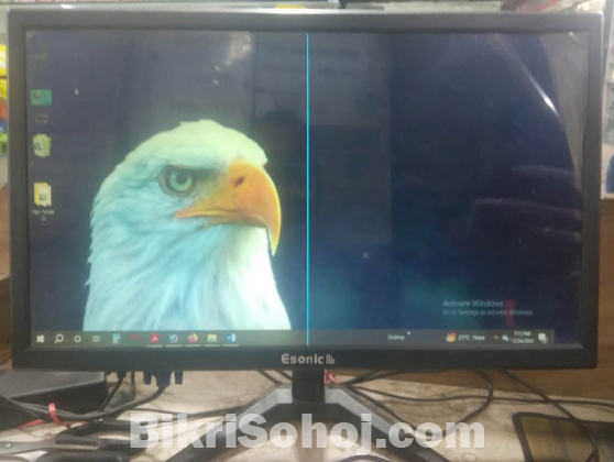 Esonic Monitor 19